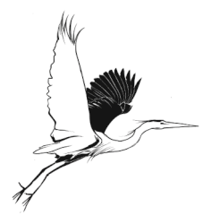 Garza Blanca Tattoo